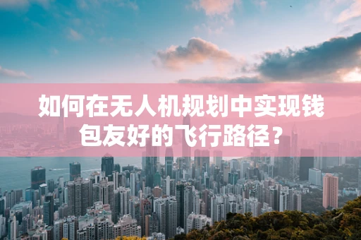 如何在无人机规划中实现钱包友好的飞行路径？