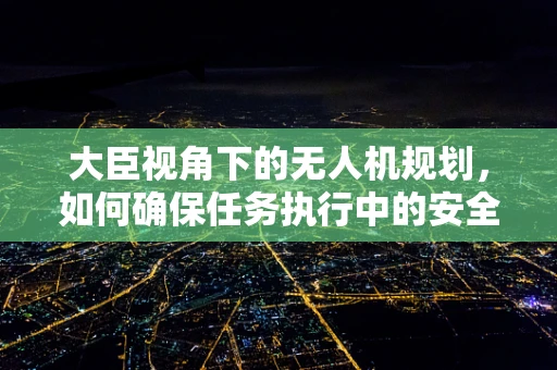 大臣视角下的无人机规划，如何确保任务执行中的安全与效率？