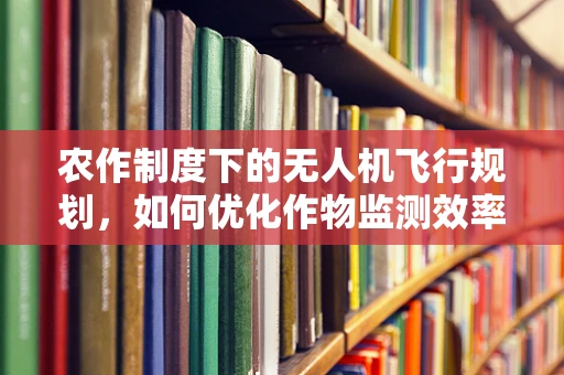 农作制度下的无人机飞行规划，如何优化作物监测效率？