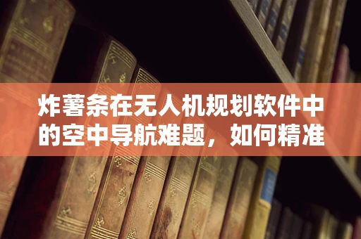 炸薯条在无人机规划软件中的空中导航难题，如何精准避障？