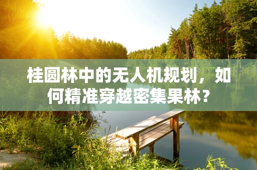 桂圆林中的无人机规划，如何精准穿越密集果林？