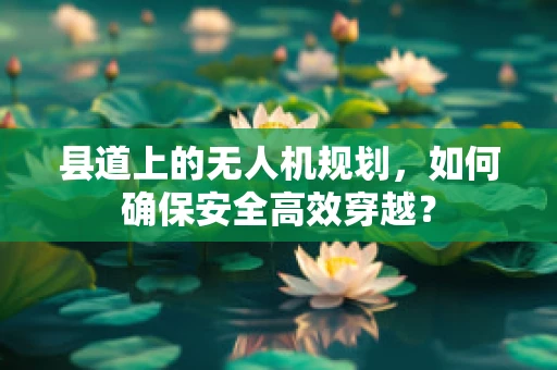 县道上的无人机规划，如何确保安全高效穿越？