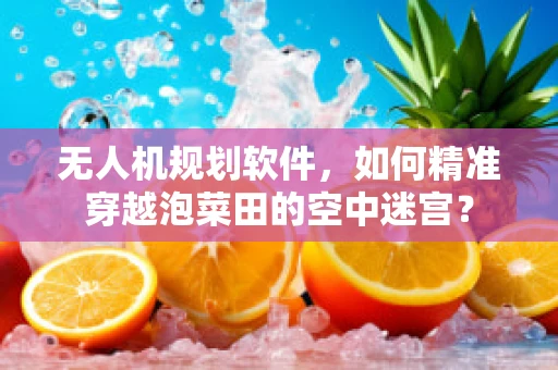 无人机规划软件，如何精准穿越泡菜田的空中迷宫？