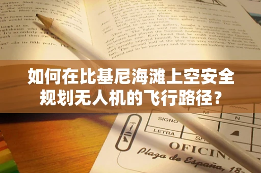 如何在比基尼海滩上空安全规划无人机的飞行路径？