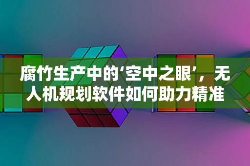 腐竹生产中的‘空中之眼’，无人机规划软件如何助力精准监控？