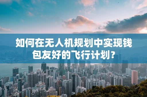 如何在无人机规划中实现钱包友好的飞行计划？