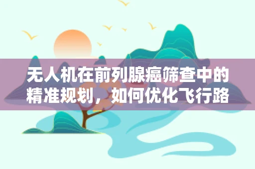 无人机在前列腺癌筛查中的精准规划，如何优化飞行路径？