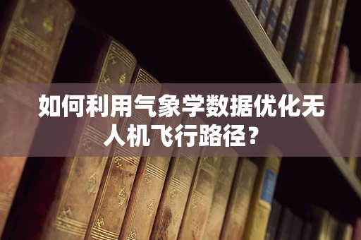 如何利用气象学数据优化无人机飞行路径？