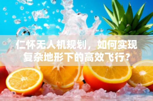 仁怀无人机规划，如何实现复杂地形下的高效飞行？