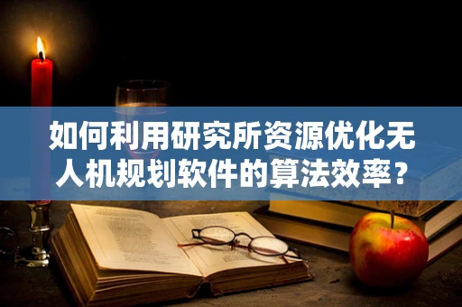 如何利用研究所资源优化无人机规划软件的算法效率？