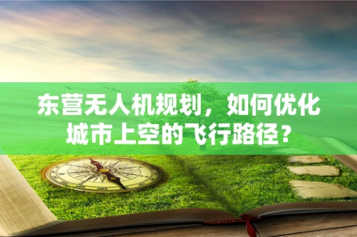 东营无人机规划，如何优化城市上空的飞行路径？