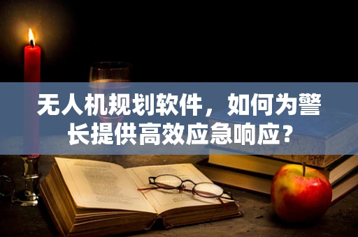 无人机规划软件，如何为警长提供高效应急响应？