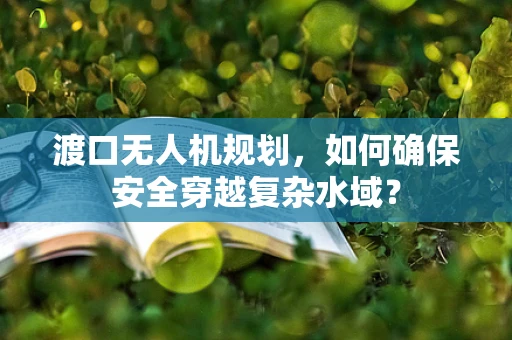 渡口无人机规划，如何确保安全穿越复杂水域？