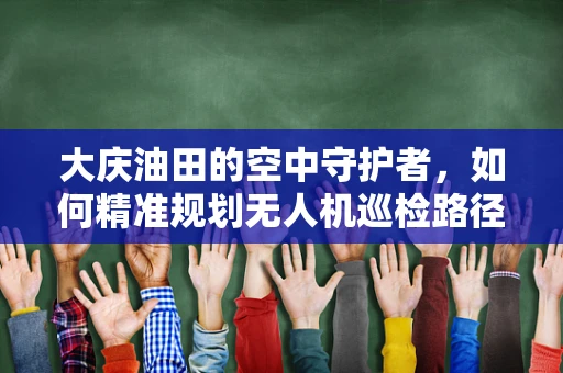 大庆油田的空中守护者，如何精准规划无人机巡检路径？