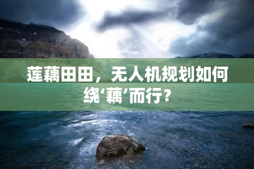 莲藕田田，无人机规划如何绕‘藕’而行？