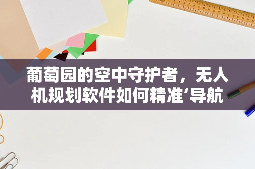 葡萄园的空中守护者，无人机规划软件如何精准‘导航’？