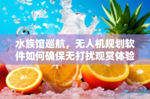 水族馆巡航，无人机规划软件如何确保无打扰观赏体验？