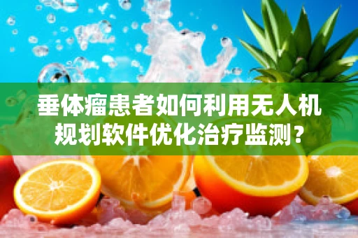 垂体瘤患者如何利用无人机规划软件优化治疗监测？