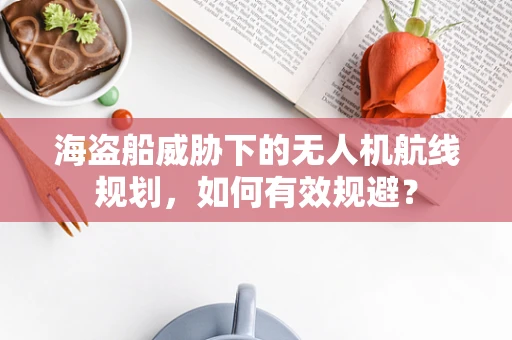 海盗船威胁下的无人机航线规划，如何有效规避？