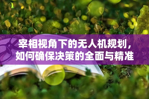 宰相视角下的无人机规划，如何确保决策的全面与精准？