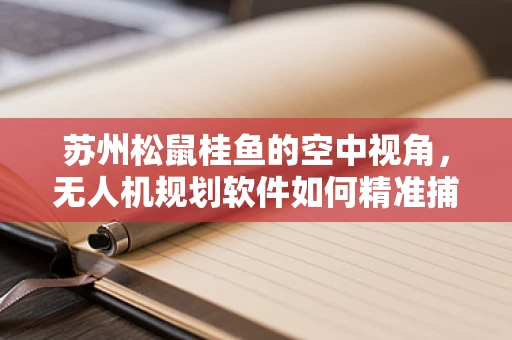 苏州松鼠桂鱼的空中视角，无人机规划软件如何精准捕捉美食的‘跳跃’瞬间？