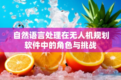 自然语言处理在无人机规划软件中的角色与挑战