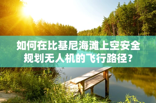 如何在比基尼海滩上空安全规划无人机的飞行路径？