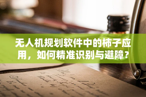 无人机规划软件中的柿子应用，如何精准识别与避障？