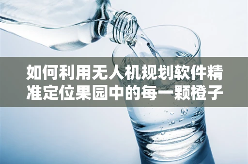 如何利用无人机规划软件精准定位果园中的每一颗橙子？