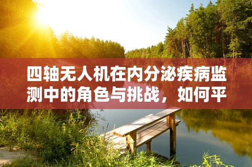 四轴无人机在内分泌疾病监测中的角色与挑战，如何平衡隐私与健康？