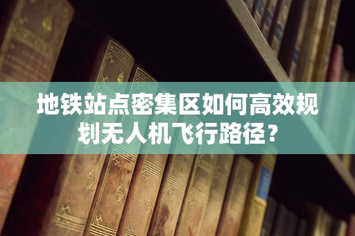 地铁站点密集区如何高效规划无人机飞行路径？