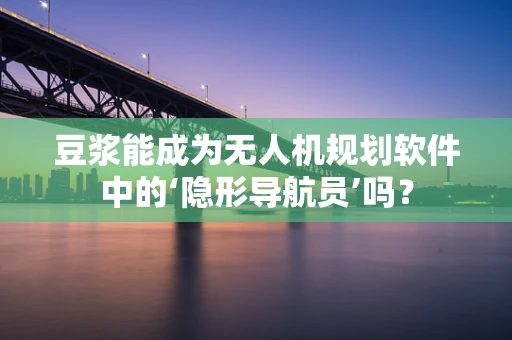 豆浆能成为无人机规划软件中的‘隐形导航员’吗？