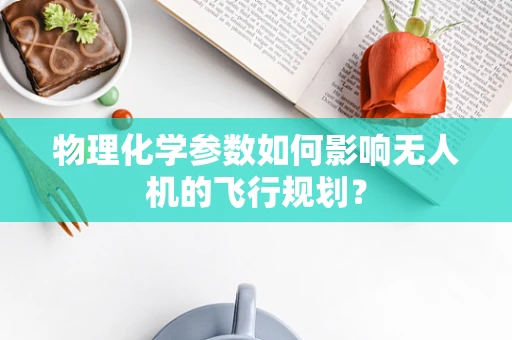 物理化学参数如何影响无人机的飞行规划？