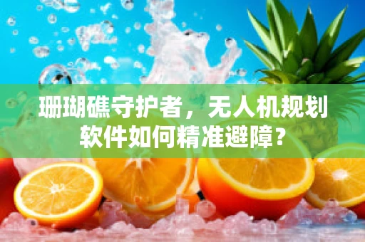 珊瑚礁守护者，无人机规划软件如何精准避障？