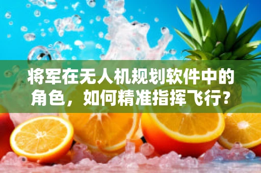 将军在无人机规划软件中的角色，如何精准指挥飞行？