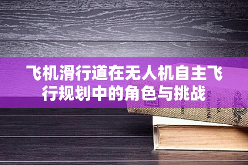 飞机滑行道在无人机自主飞行规划中的角色与挑战