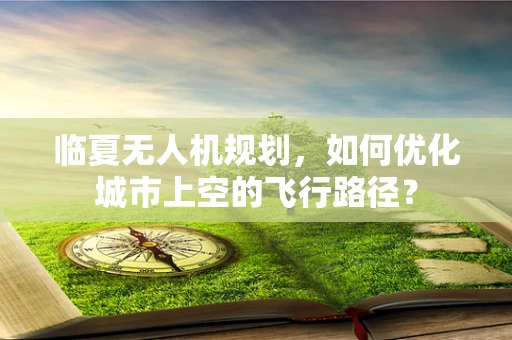 临夏无人机规划，如何优化城市上空的飞行路径？