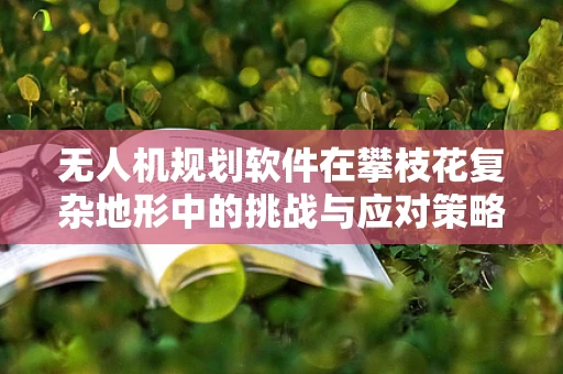 无人机规划软件在攀枝花复杂地形中的挑战与应对策略