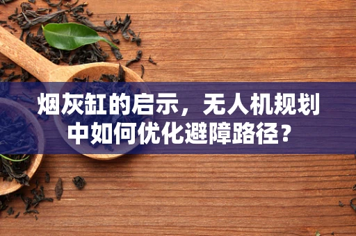 烟灰缸的启示，无人机规划中如何优化避障路径？