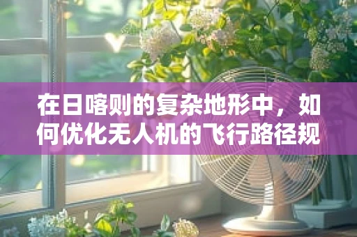 在日喀则的复杂地形中，如何优化无人机的飞行路径规划？