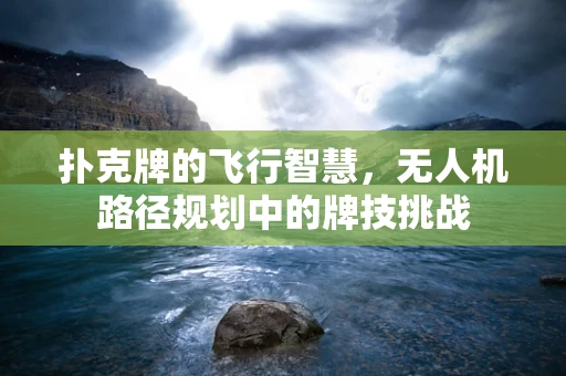 扑克牌的飞行智慧，无人机路径规划中的牌技挑战