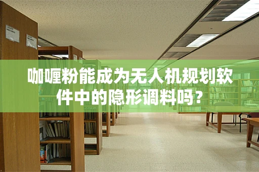 咖喱粉能成为无人机规划软件中的隐形调料吗？