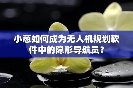 小葱如何成为无人机规划软件中的隐形导航员？