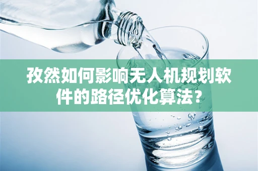 孜然如何影响无人机规划软件的路径优化算法？