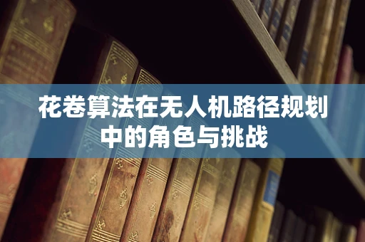 花卷算法在无人机路径规划中的角色与挑战