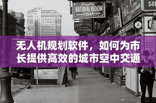 无人机规划软件，如何为市长提供高效的城市空中交通管理方案？