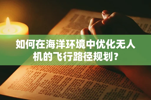 如何在海洋环境中优化无人机的飞行路径规划？