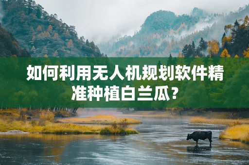 如何利用无人机规划软件精准种植白兰瓜？