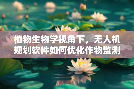 植物生物学视角下，无人机规划软件如何优化作物监测路径？