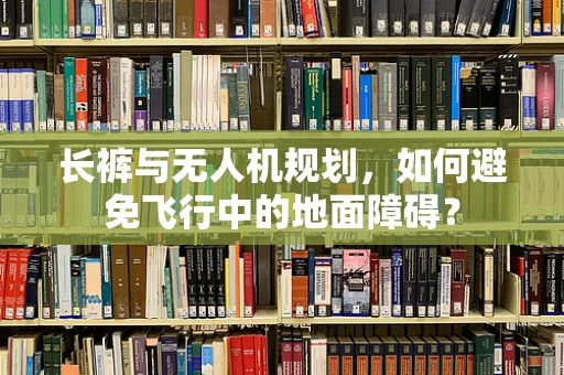 长裤与无人机规划，如何避免飞行中的地面障碍？